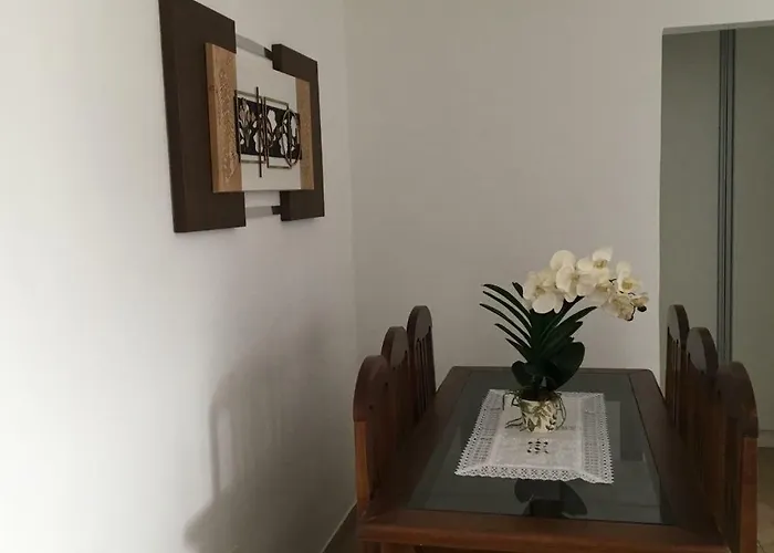 Lindo Apto Na Vila Tupi